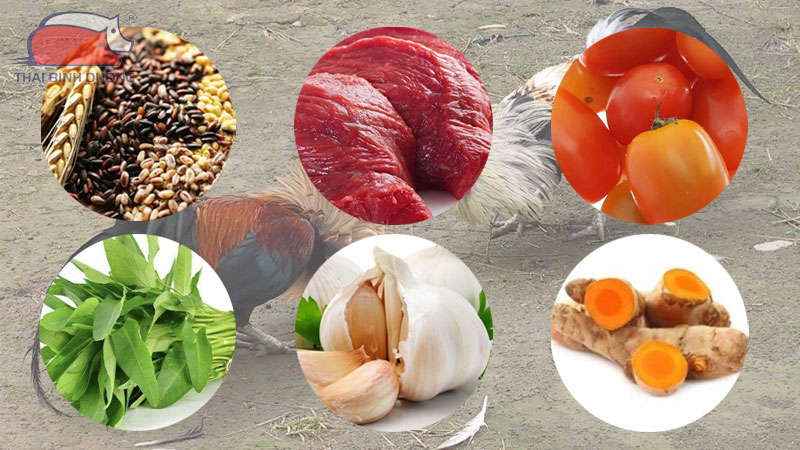 Chế độ dinh dưỡng cho gà đá chân mạnh