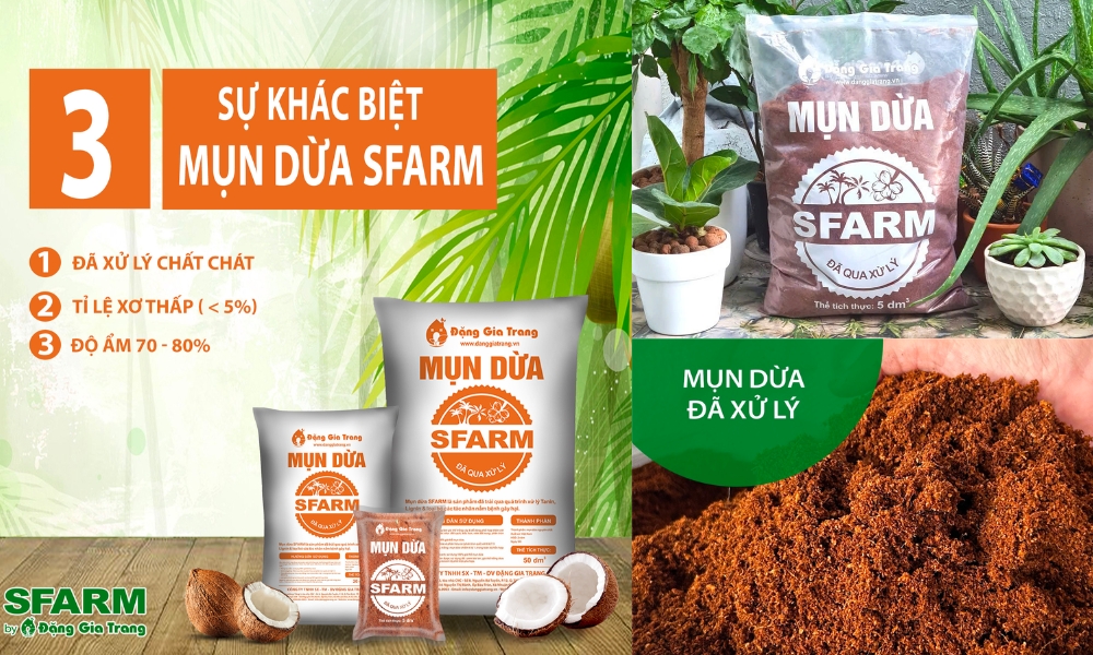 Chuẩn bị giá thể trồng cây hạnh phúc