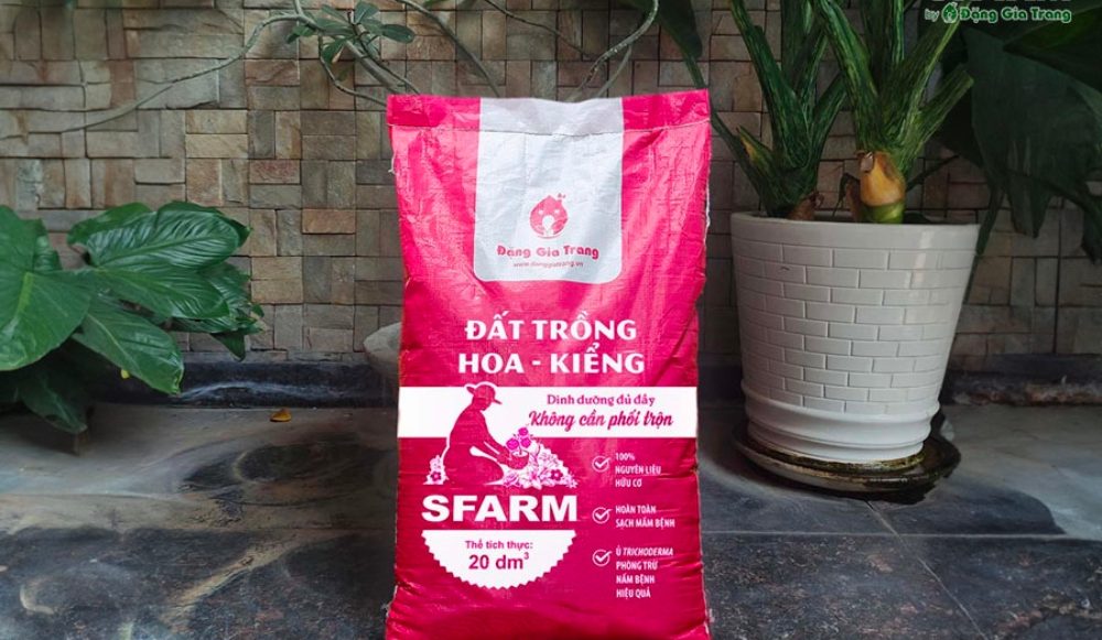 Đất trồng mai địa thảo