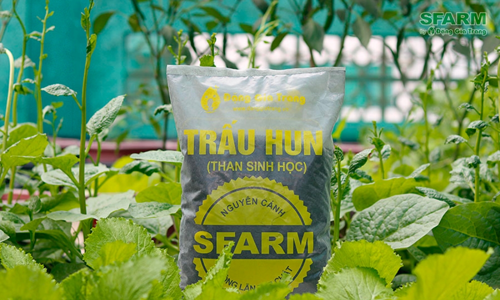 Trấu hun trộn đất trồng