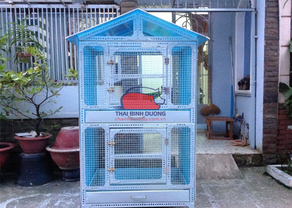 Chuồng gà trên sân thượng