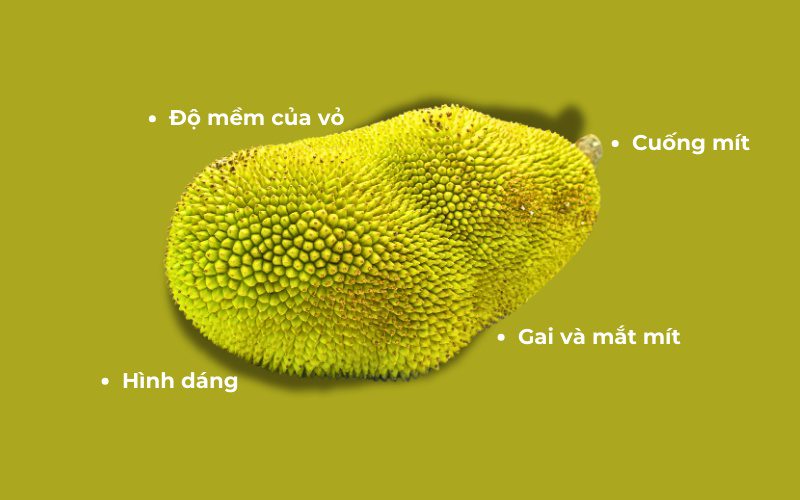 Cách chọn mít ngon