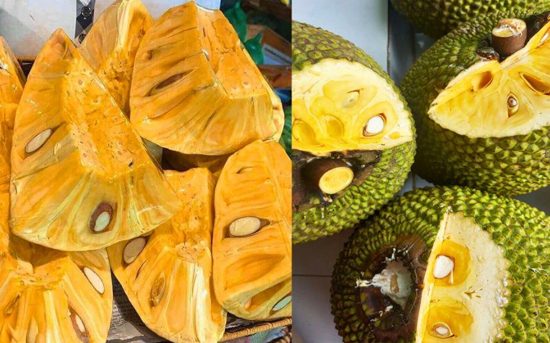 Mẹo chọn mít Thái ngon