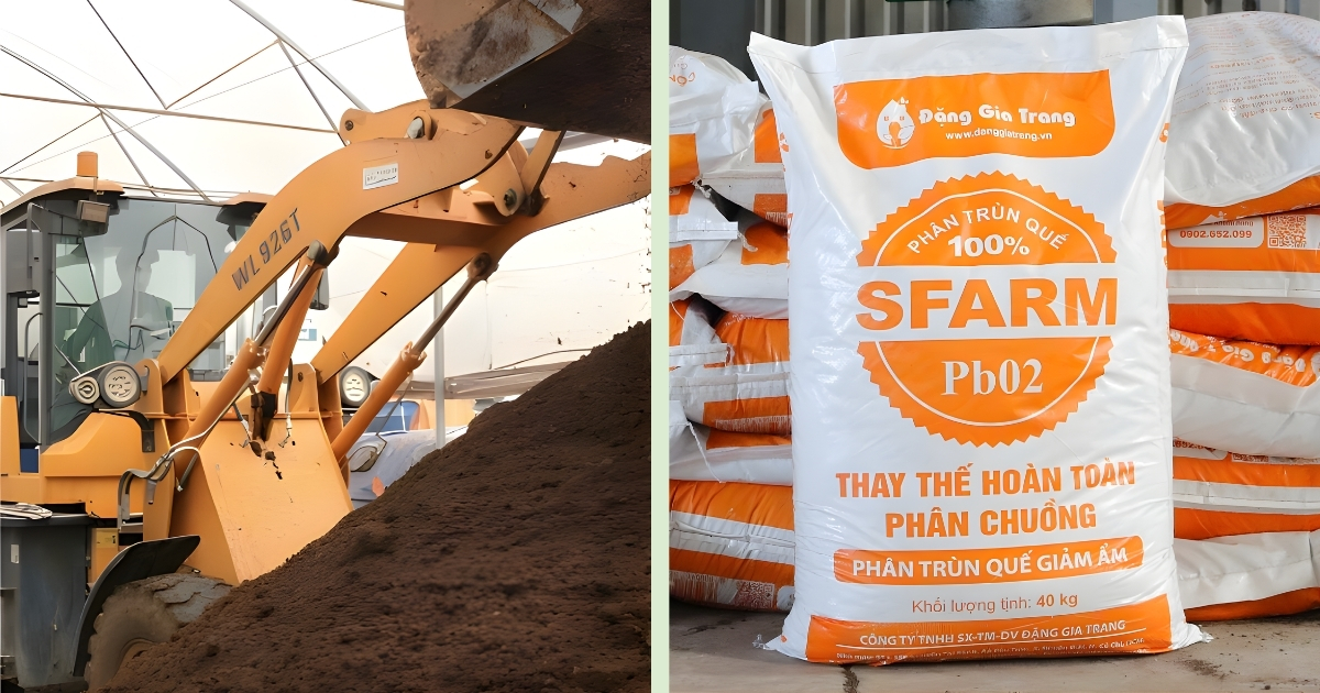 Giá phân bón hôm nay ngày 02/02/2026