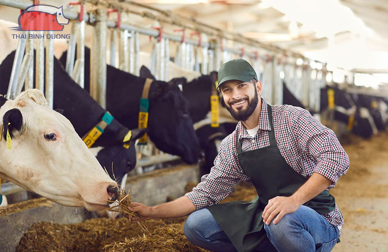 Các loại gia súc phổ biến