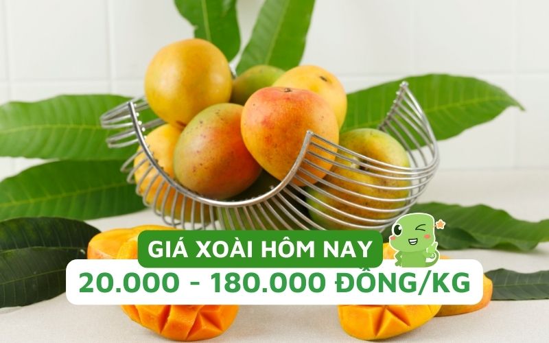 Giá xoài hôm nay bao nhiêu 1kg