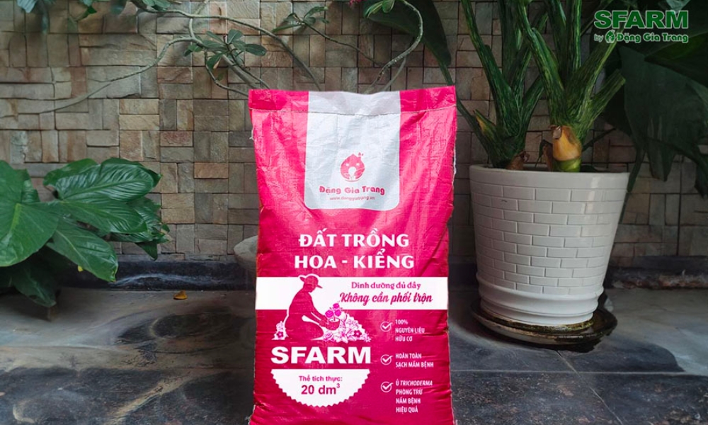 Đất trồng phù hợp cho hoa hướng dương