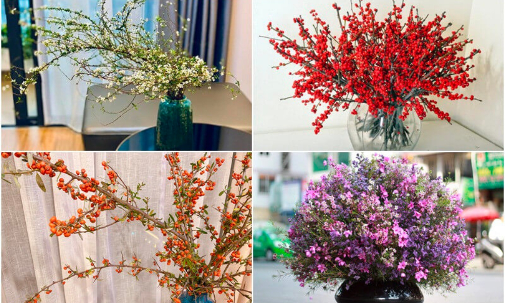 Hoa thanh liễu trang trí nội thất