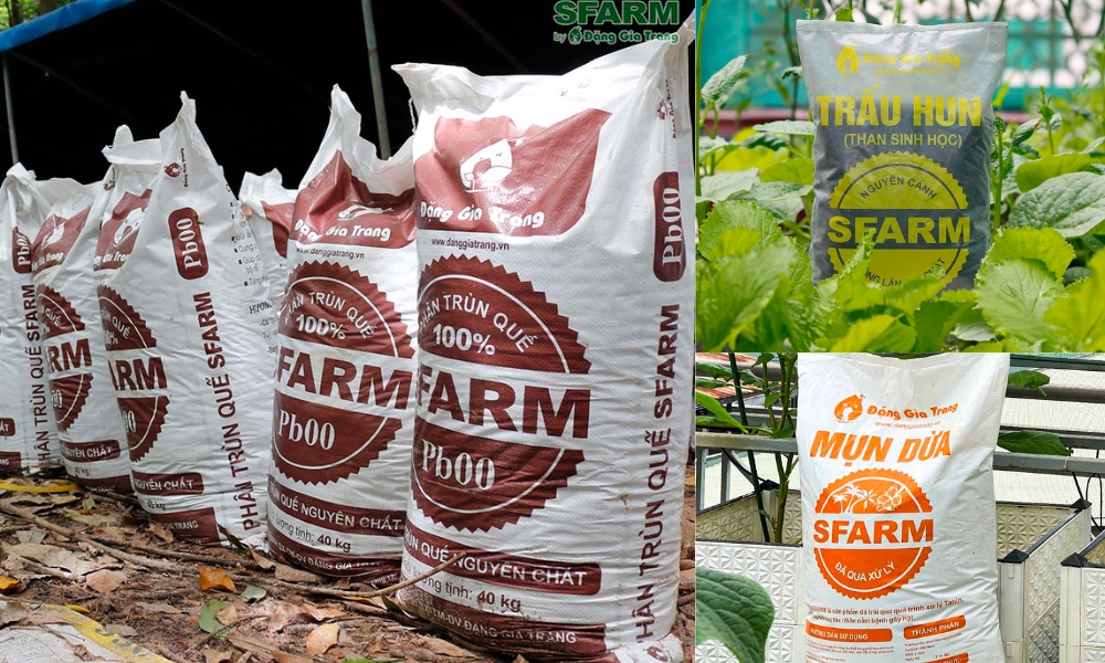 Giá thể trồng hoa thanh liễu