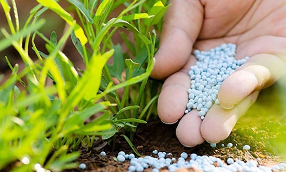 Khái niệm phân bón