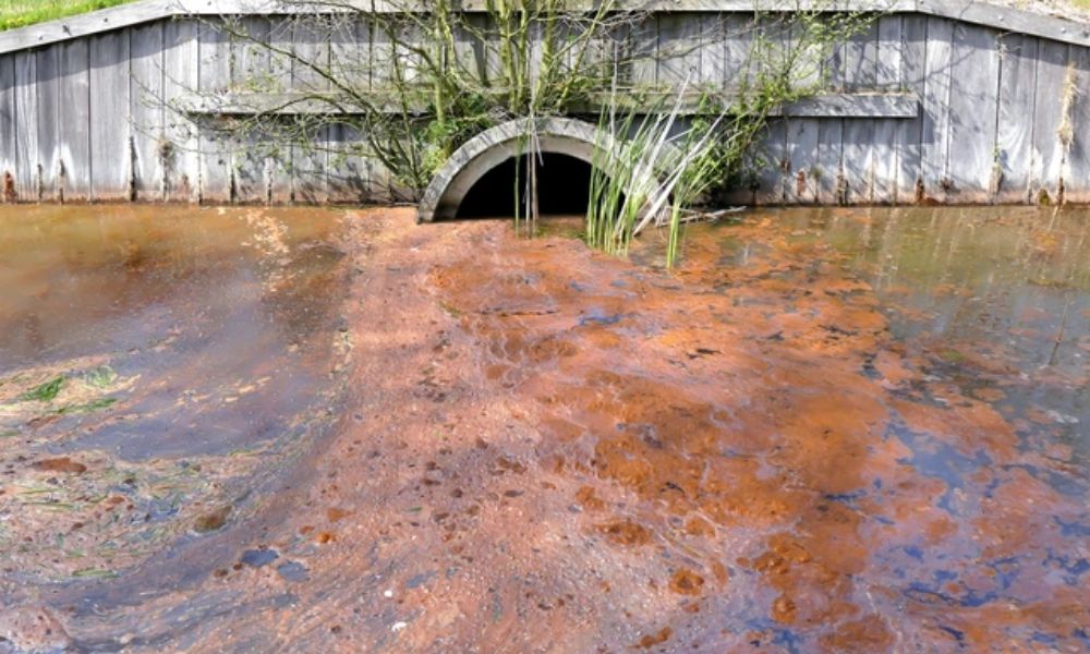 Ảnh hưởng của phân bón đến môi trường