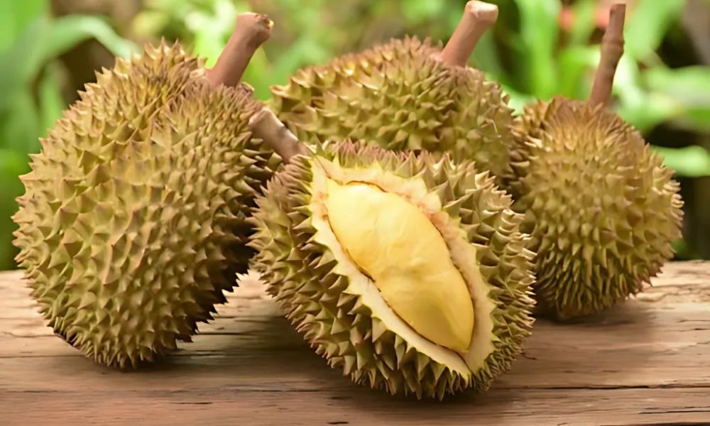 Sầu riêng Monthong Thái