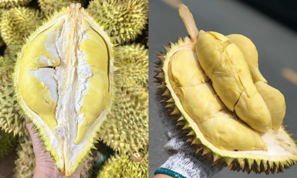 Cơm sầu riêng Monthong