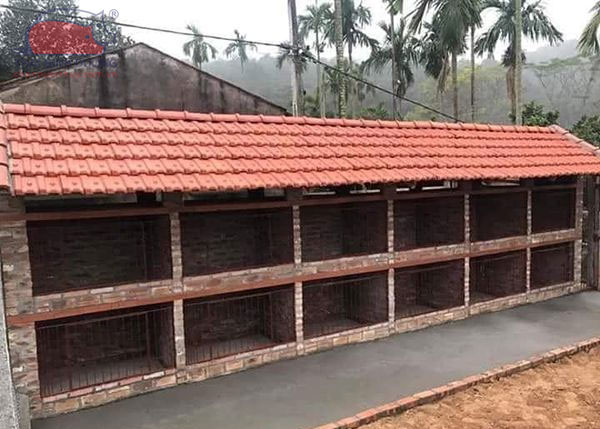 Chuồng gà đầu tư cao cấp