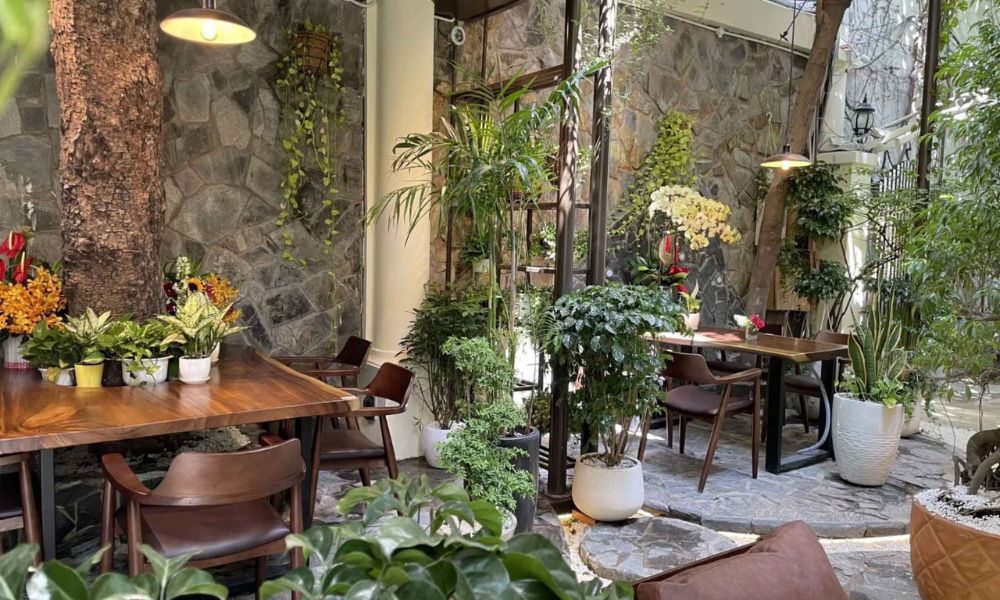 Cà phê sân vườn