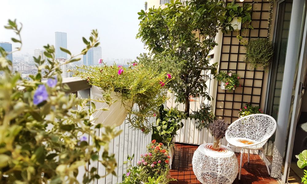 Tiểu cảnh ban công