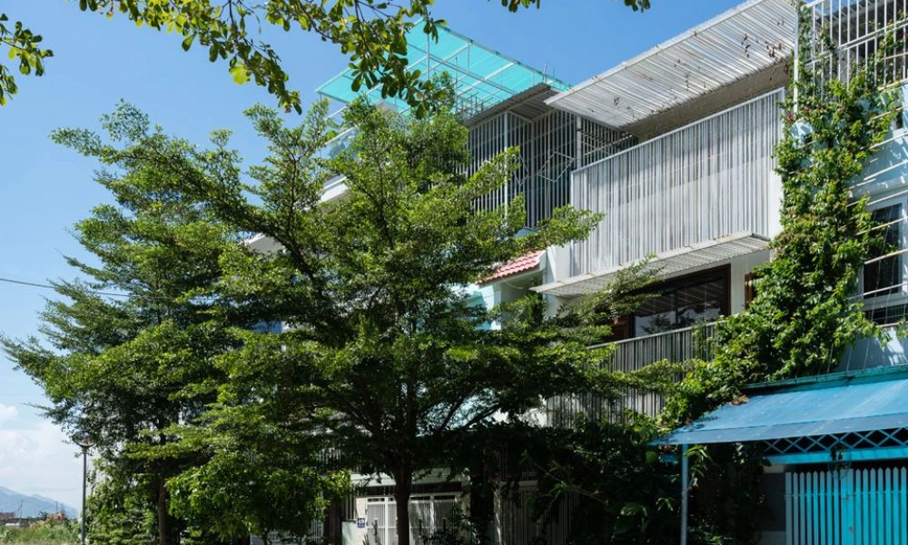 Trồng cây sân vườn hợp phong thủy